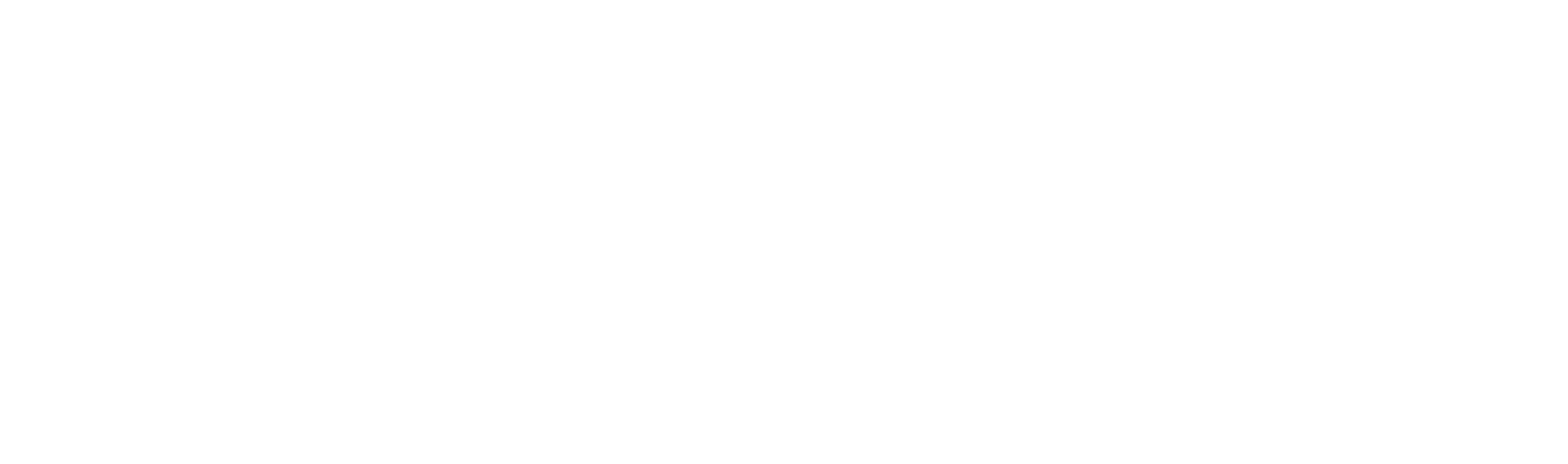 VMware_by_Broadcom Partner